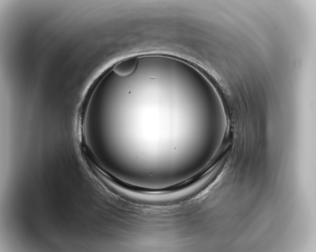 X0000096411510200801241210