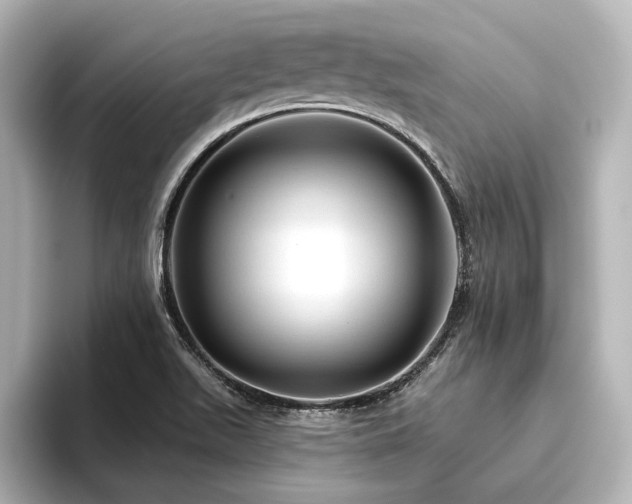 X0000096411511200801241210
