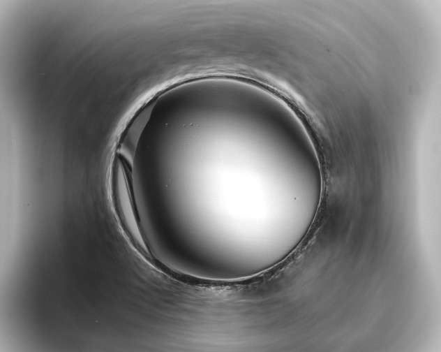X0000096411512200801241210