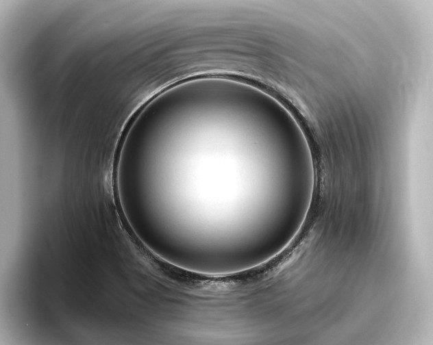 X0000096411513200801241210