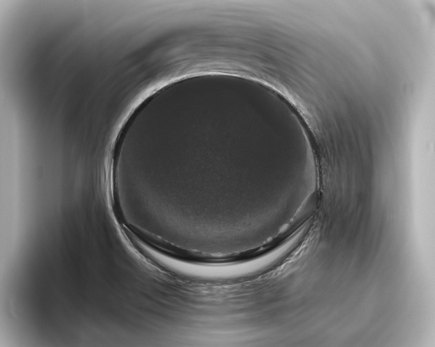 X0000096411515200801241210