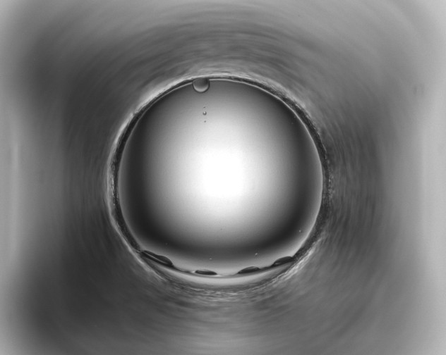 X0000096411517200801241210