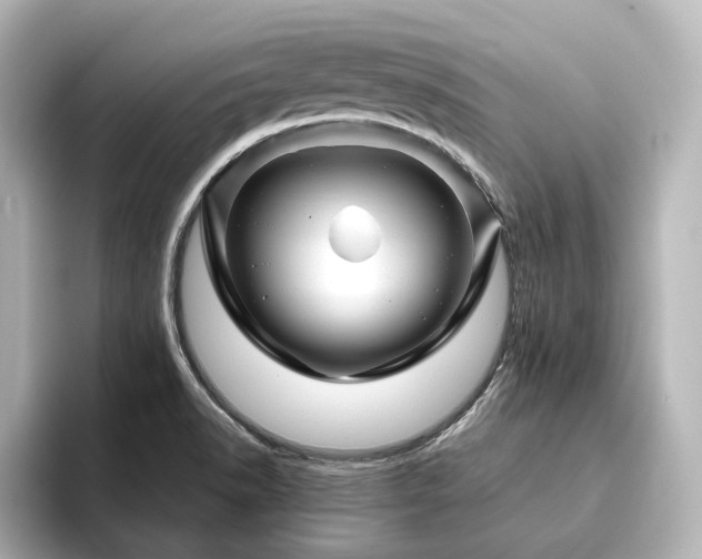 X0000096411518200801241210