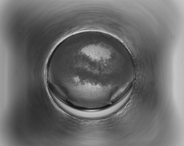 X0000096411519200801241210