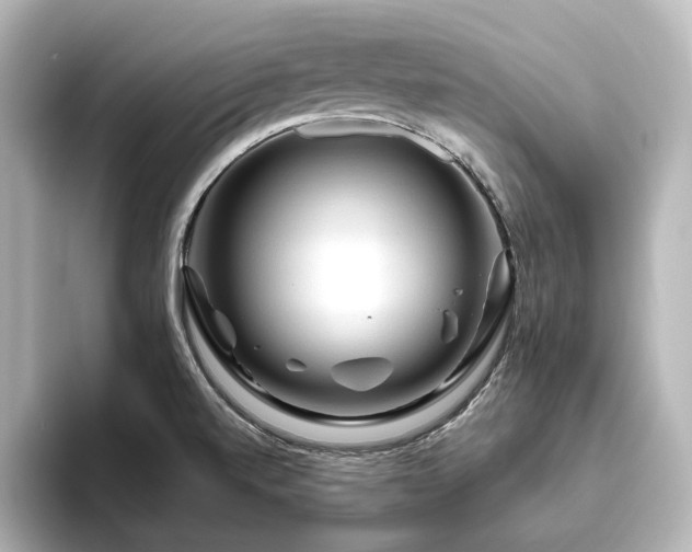 X0000096411520200801241210
