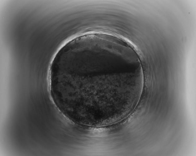 X0000096411522200801241210