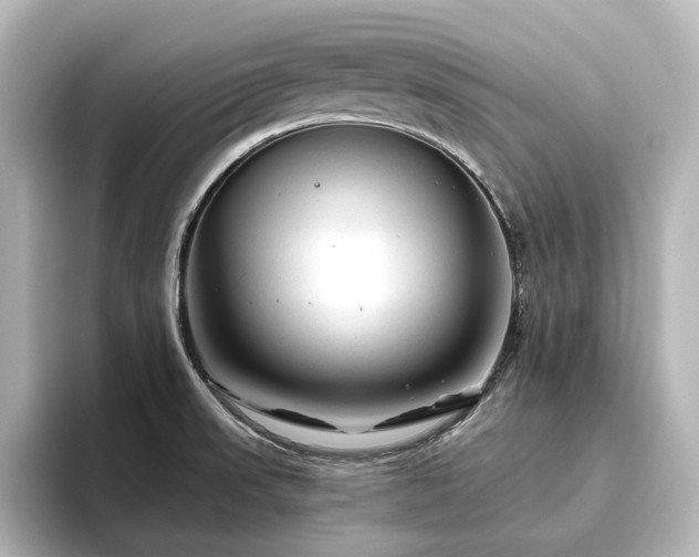 X0000096411523200801241210