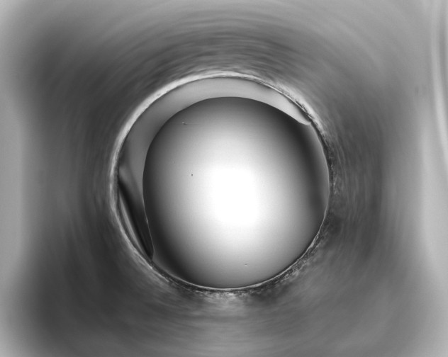 X0000096411524200801241210