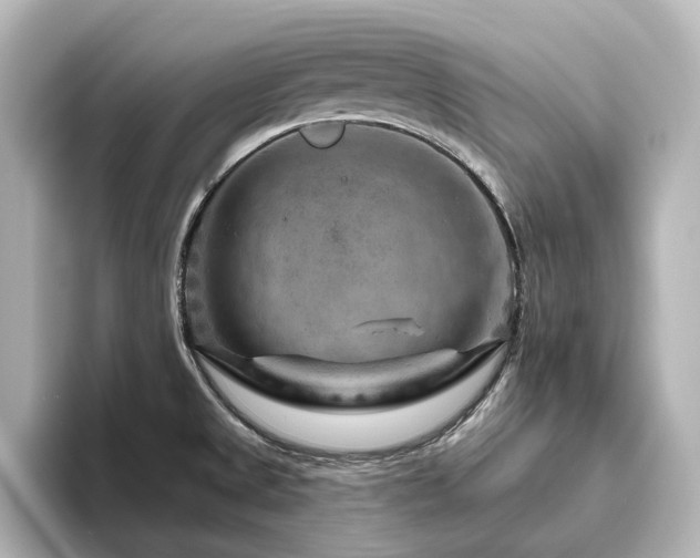 X0000096411525200801241210