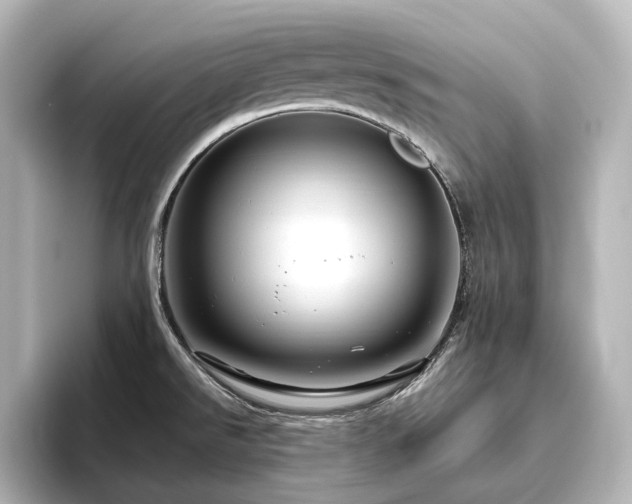 X0000096411526200801241210