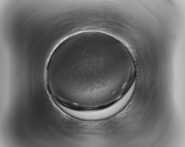 X0000096411527200801241210