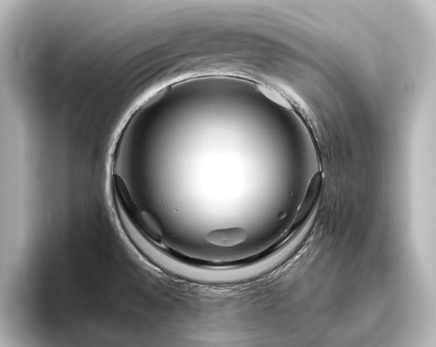 X0000096411528200801241210