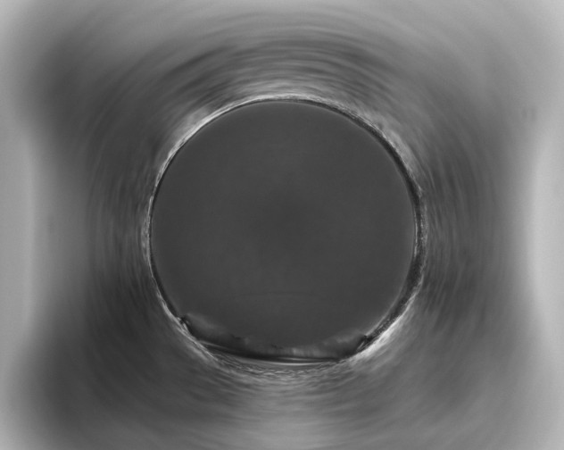 X0000096411529200801241210