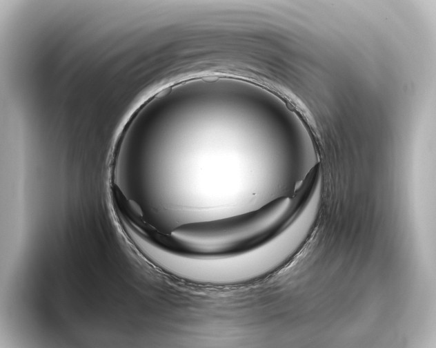 X0000096411530200801241210