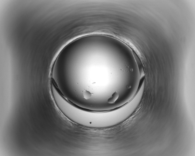 X0000096411532200801241210