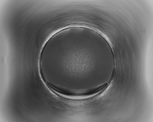X0000096411533200801241210