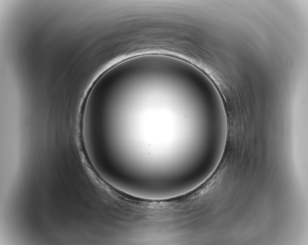X0000096411534200801241210