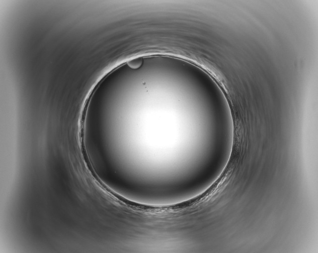X0000096411535200801241211