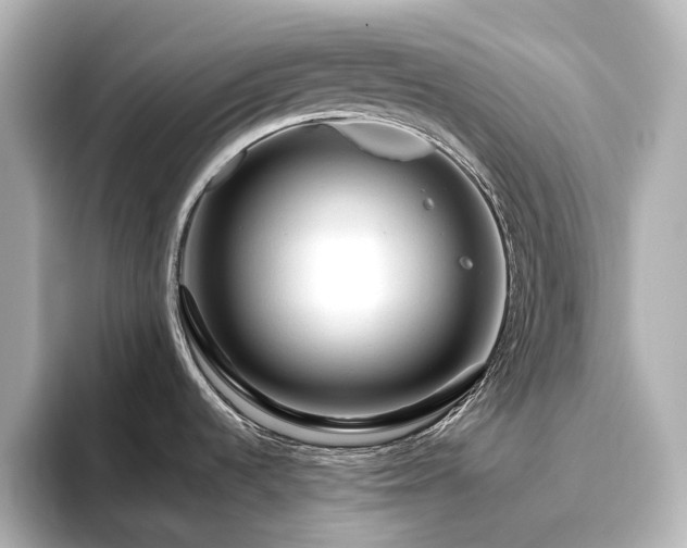 X0000096411536200801241211