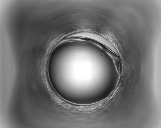 X0000096410001200801311401