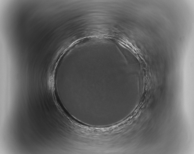 X0000096410002200801311401