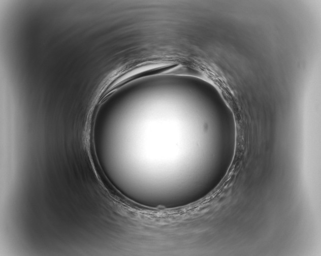 X0000096410003200801311401