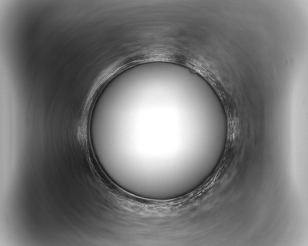 X0000096410004200801311401