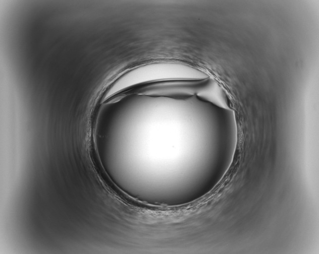 X0000096410005200801311401