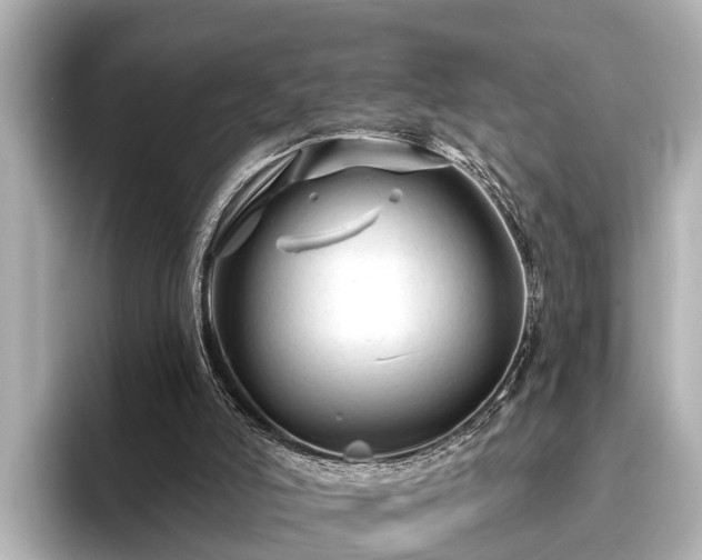 X0000096410006200801311401