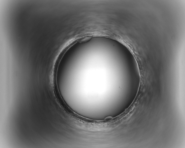 X0000096410008200801311401