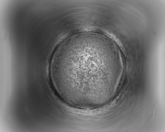 X0000096410010200801311401