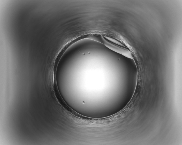 X0000096410011200801311401