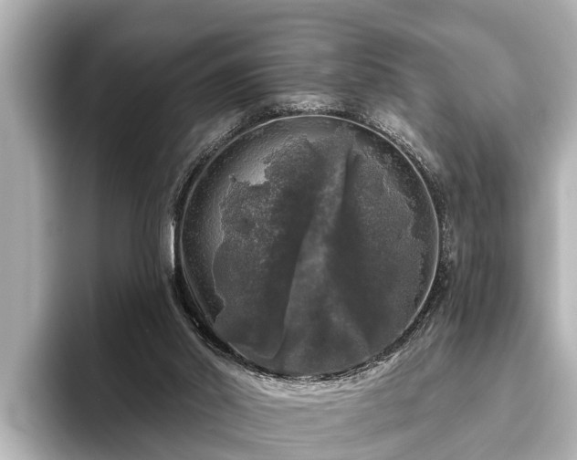X0000096410014200801311401