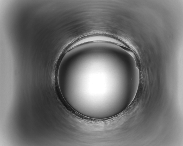 X0000096410015200801311401