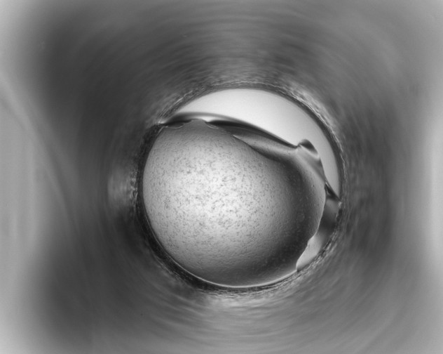 X0000096410017200801311401