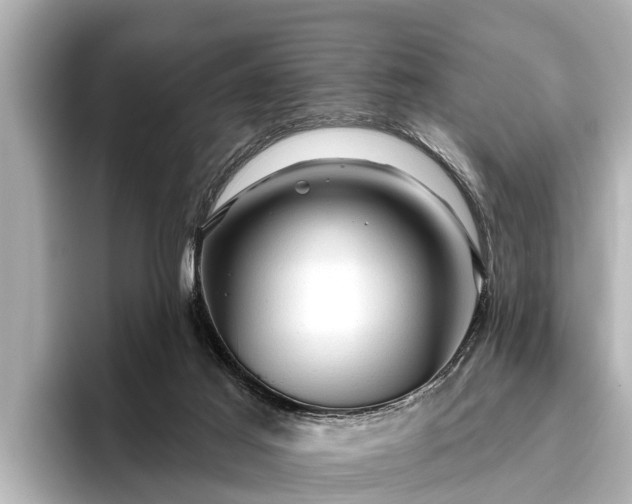 X0000096410021200801311401