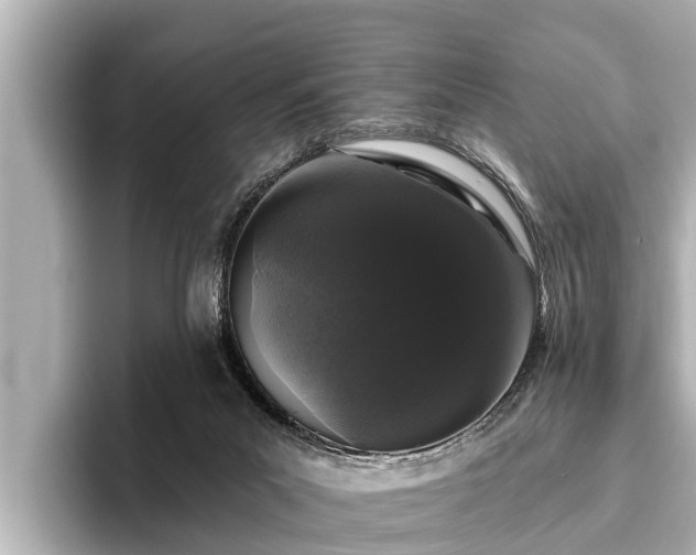 X0000096410023200801311401