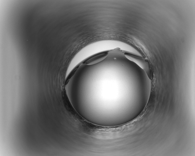 X0000096410025200801311401