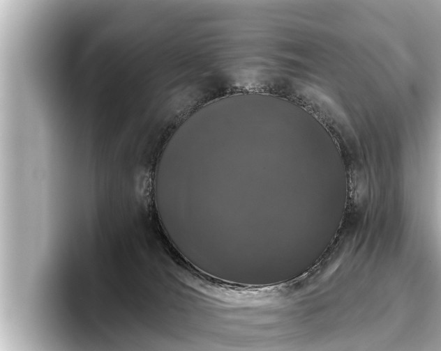 X0000096410036200801311401