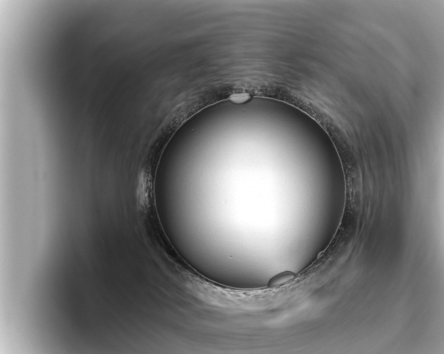 X0000096410038200801311401