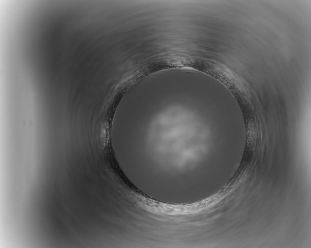 X0000096410043200801311401