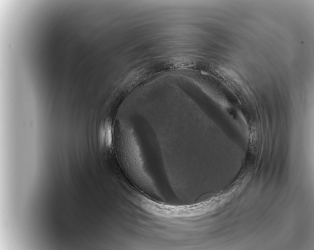 X0000096410046200801311401