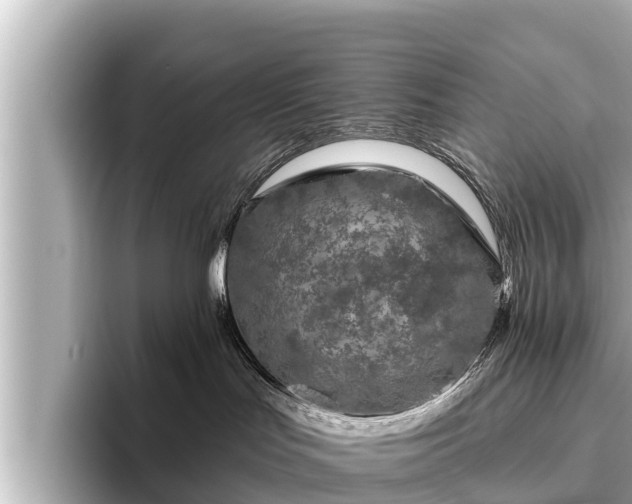 X0000096410047200801311401