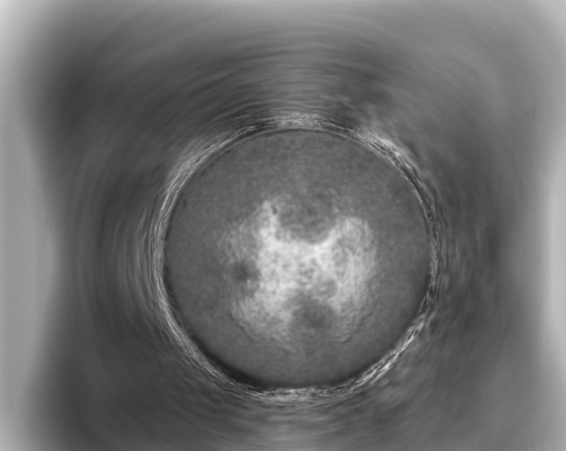 X0000096410049200801311400
