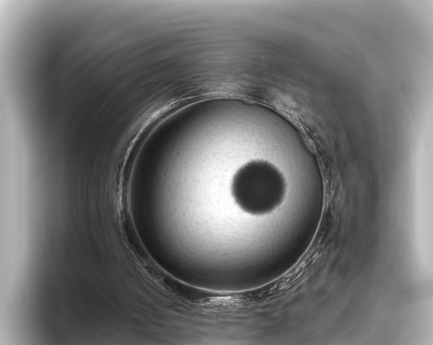 X0000096410050200801311400