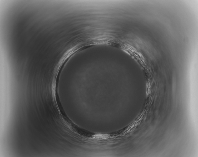 X0000096410051200801311400