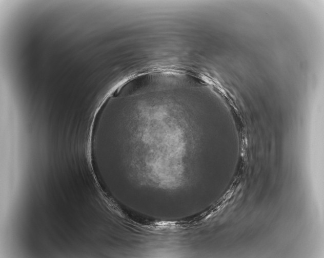 X0000096410052200801311400
