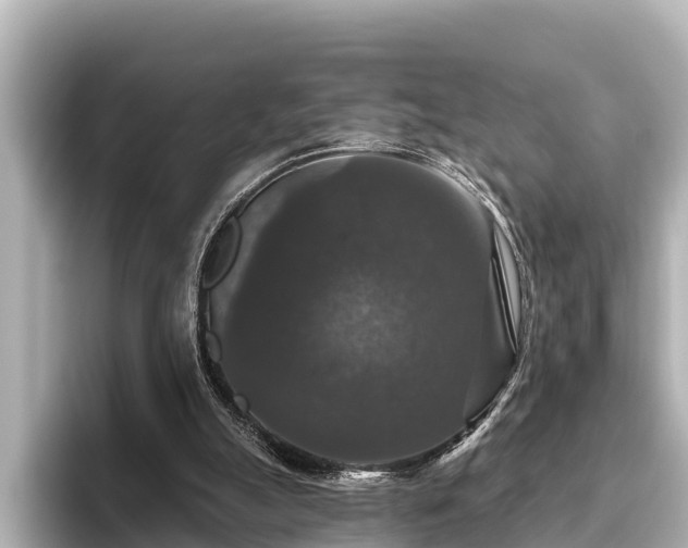 X0000096410055200801311400