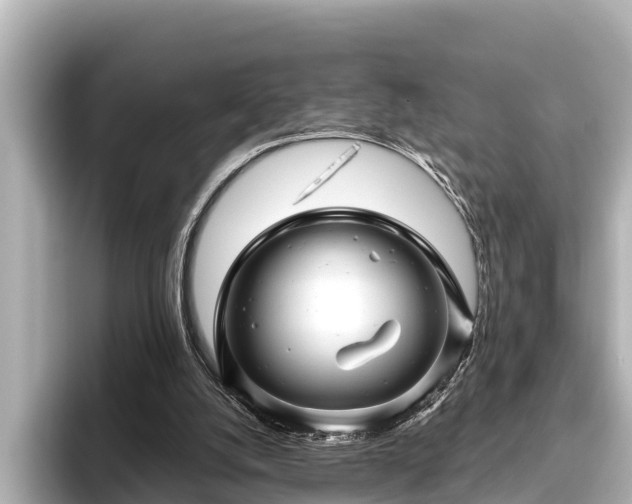 X0000096410056200801311400