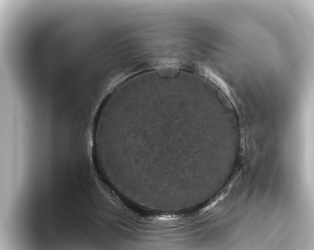 X0000096410059200801311400